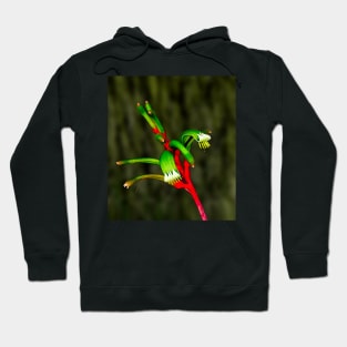 Kangaroo Paw Hoodie